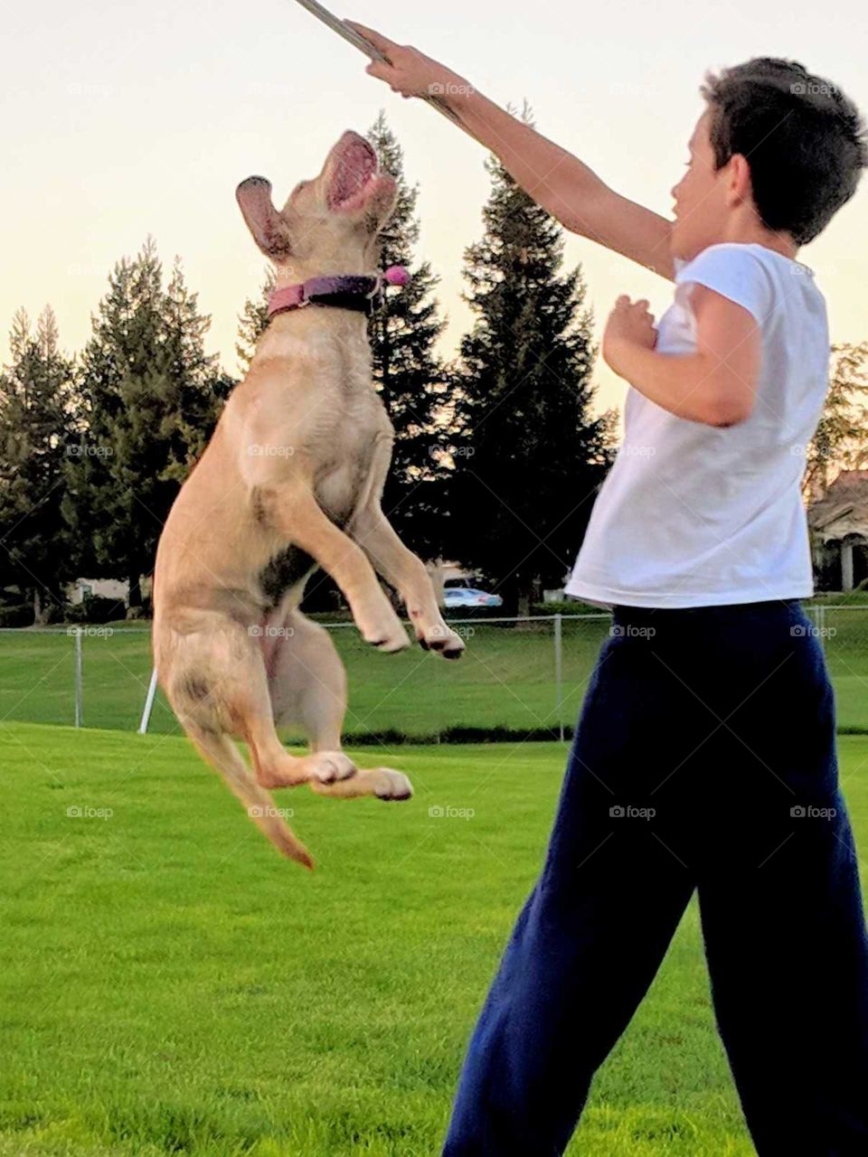 Reach for the sky...or that stick lol