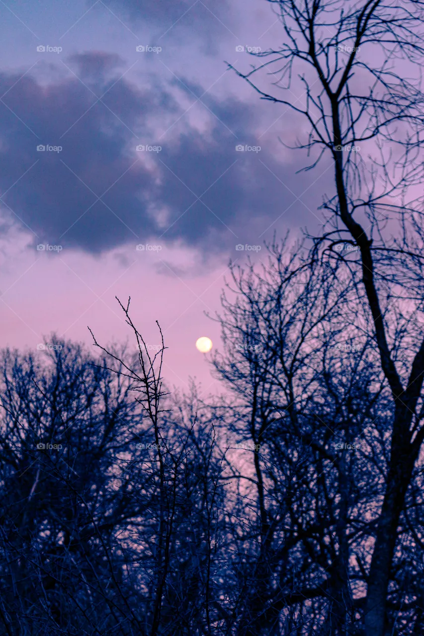 Nature