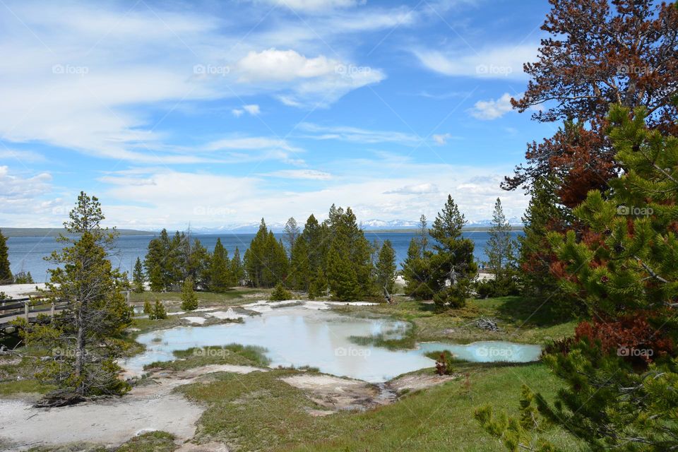 View over Yellowstone lake in thumb geyser part of Yellowstone National Park