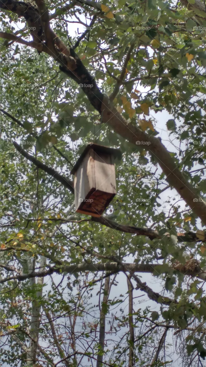 bird house
