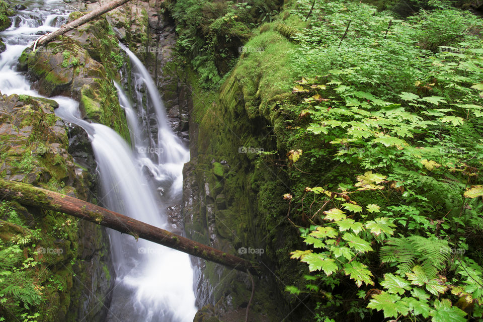 Long exposure waterfalls in an emerald green rain forest with fallen tree logs.
