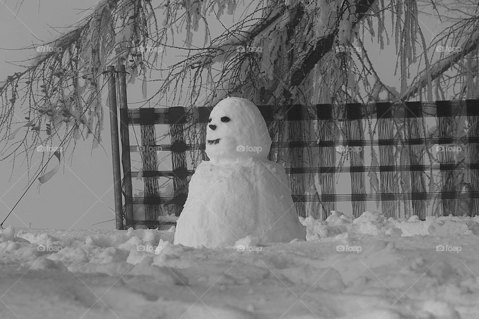 Schneemann