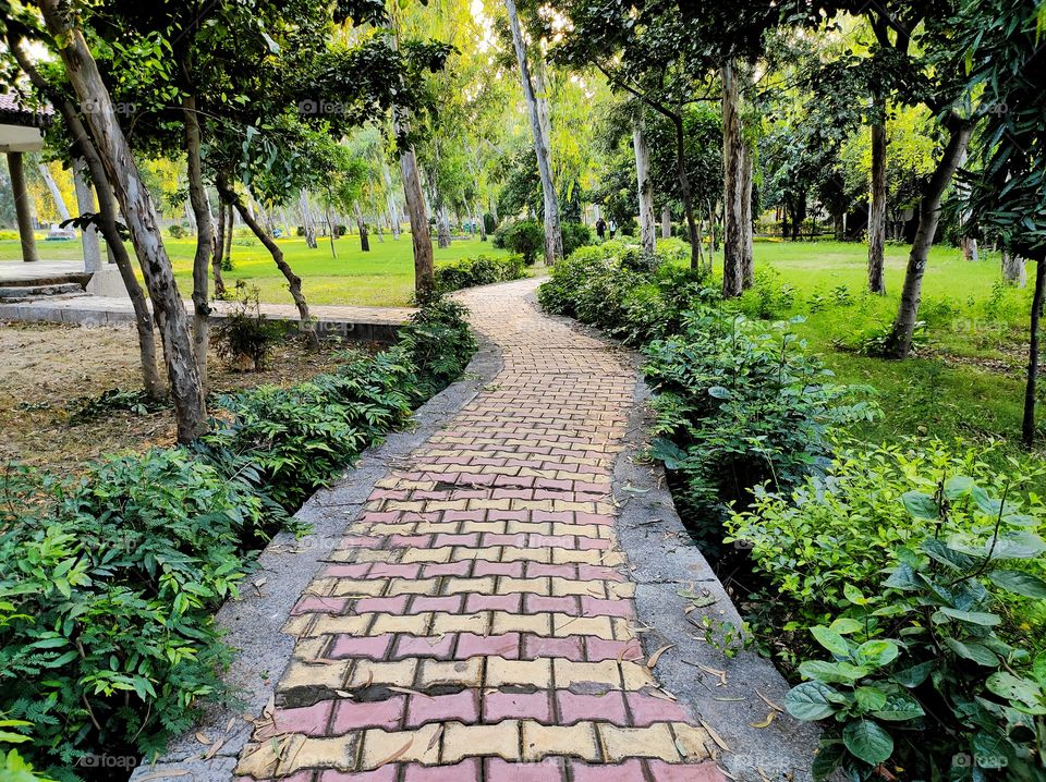 Footpath in the middle of the park