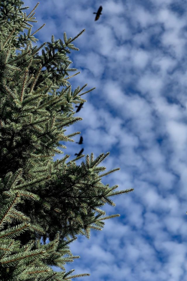 beautiful clouds