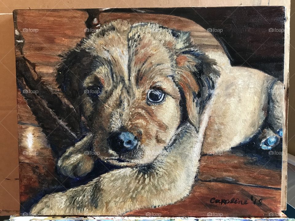 Oil painting Darcy puppy