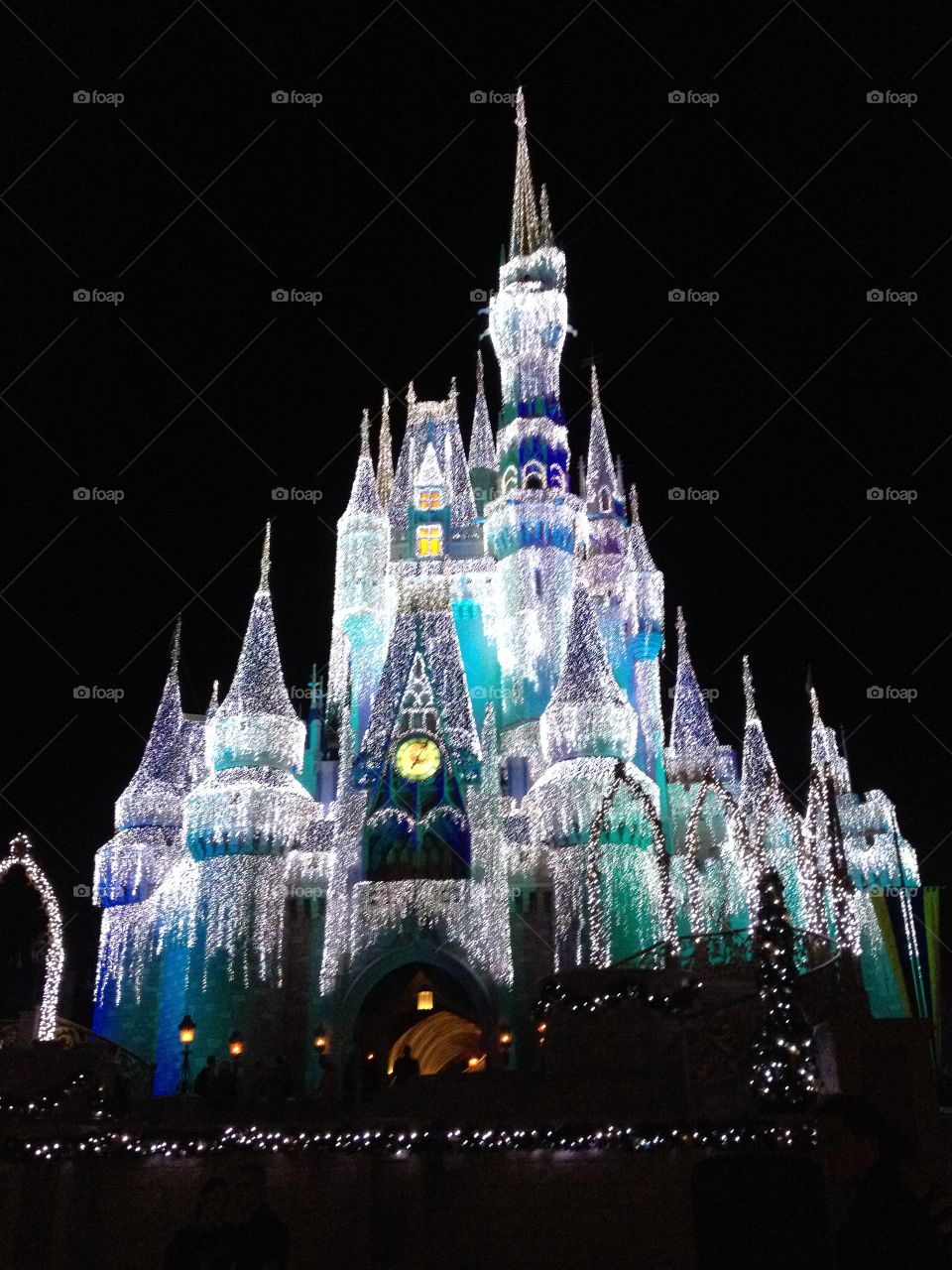 Walt Disney World Holiday Lights 
