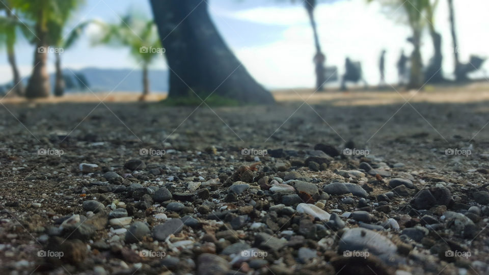 Beach Close up