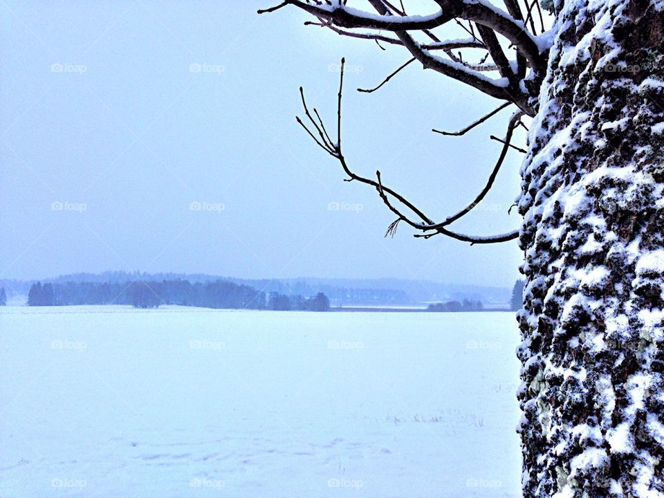 White landscape! 