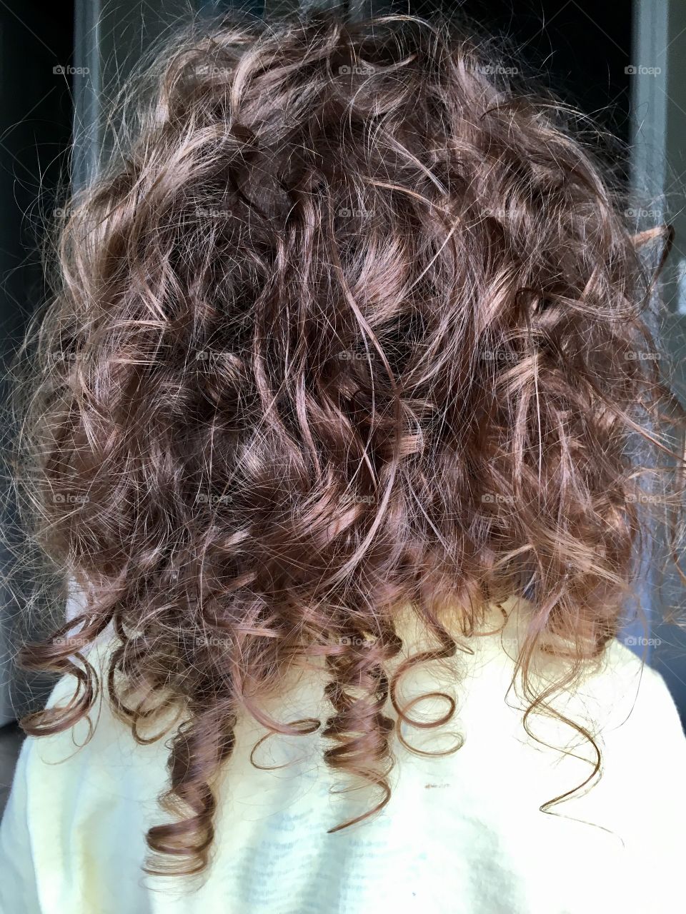 Curly, Hair, Desktop, Portrait, Hairdo