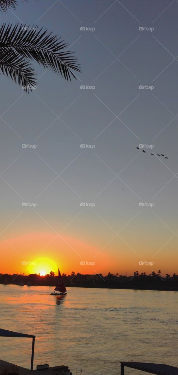 editors Choice Photo of the week