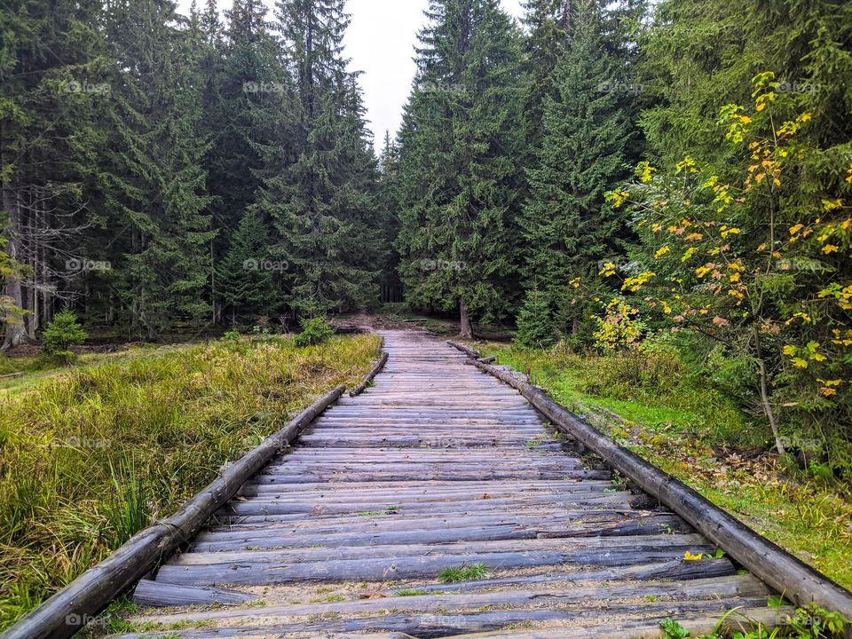 Carpathians (Ukraine).