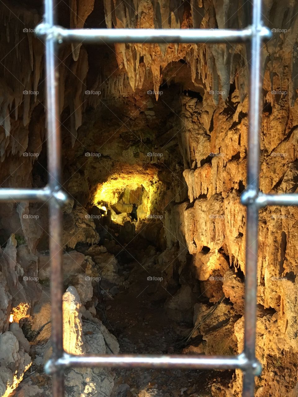 Peering through a gate into a cave 