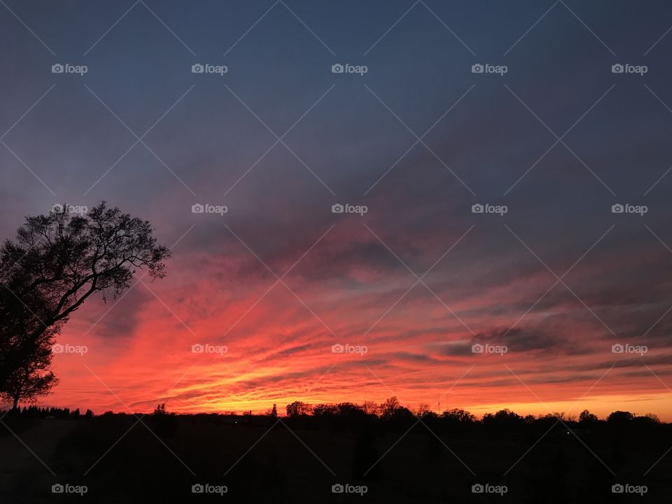 Frosty skies apologies for the bitter cold. 