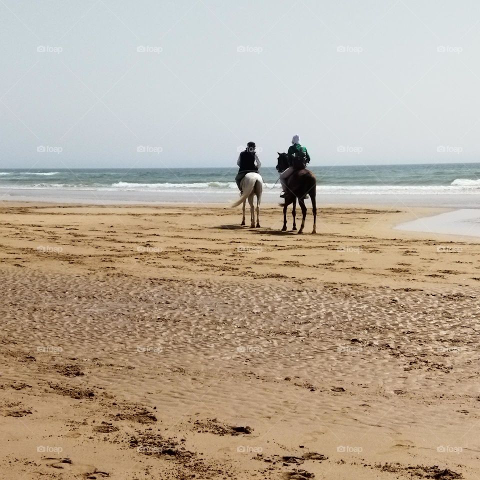 Nice trip around the beach on horseback at essaouira city in Morocco.