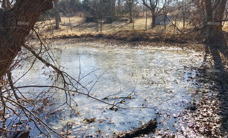 Winter Story, cold, winter, rural, frozen, ice, lake, sky, shore, thin ice, pond, water, melting, trees, tree line, brush, overgrown, leaves