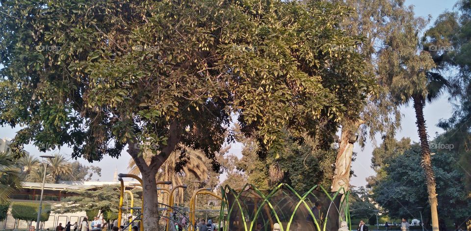 صور منطقة شجرية خيالية تستخدم للتصوير كخلفيات للافراح و مزار راح لمحبي التامل و مشاهدة الجمال الشجري والطبيعة
Pictures of a fictional tree area used for photography as wedding backgrounds and a shrine for lovers of contemplation and watching tree bea