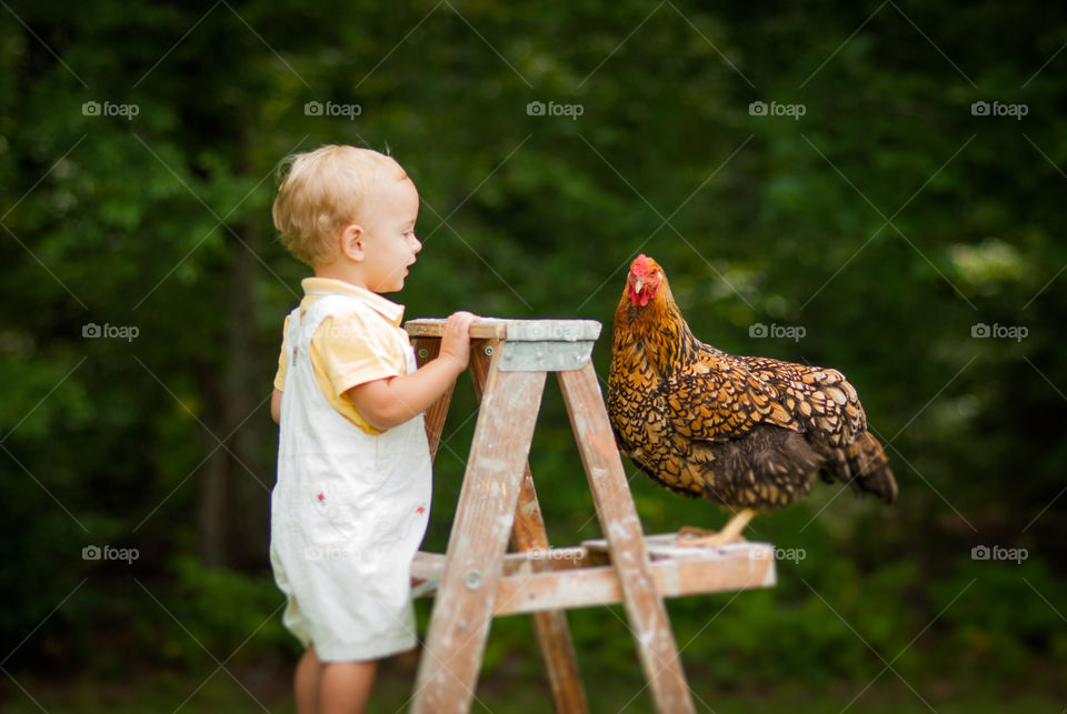 A Boy and His Chicken