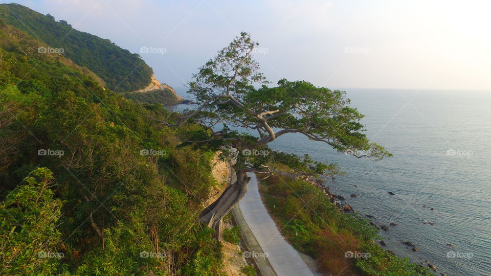 Water, Travel, Nature, Landscape, Tree