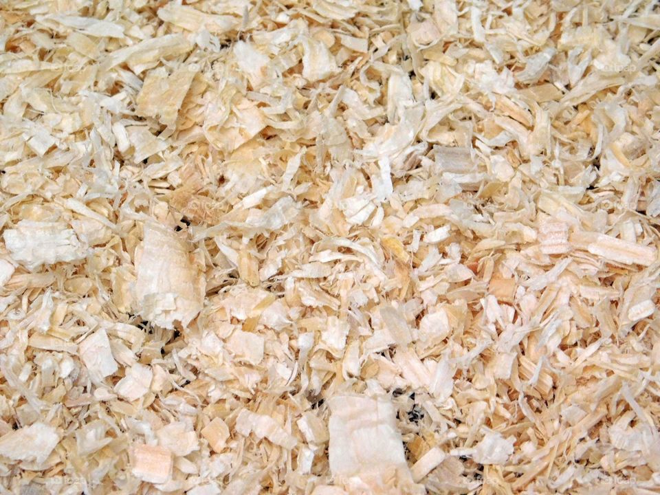 sawdust