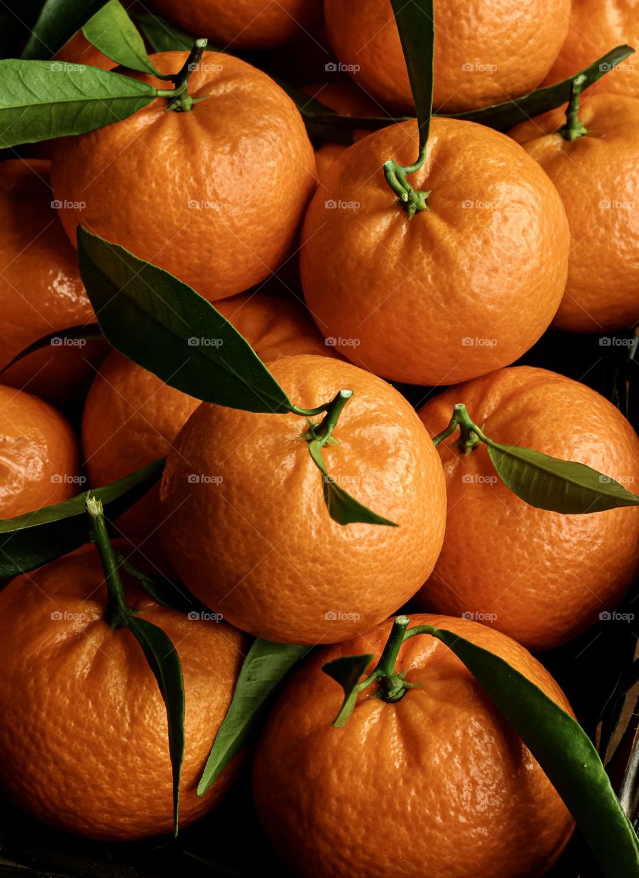 A basket of ripe satsumas with green leaves