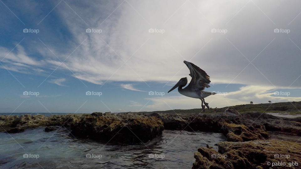 If there’s a heaven... I’m sure it has has its own beach 