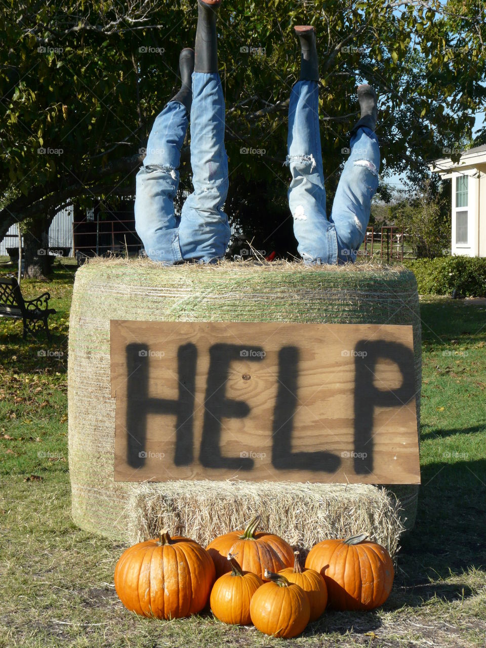 Halloween yard decoration with hay bale. 