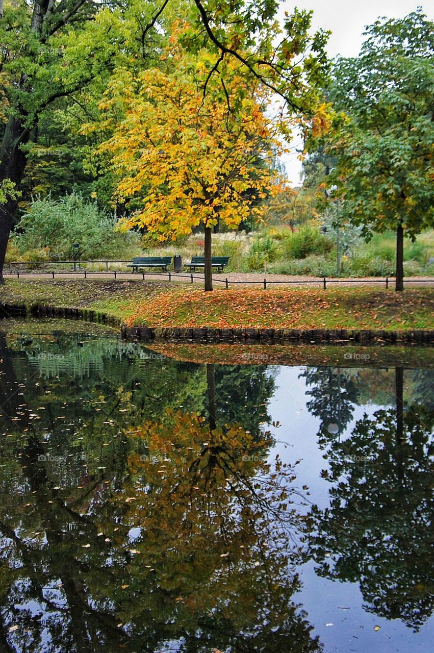 Autumn Reflections