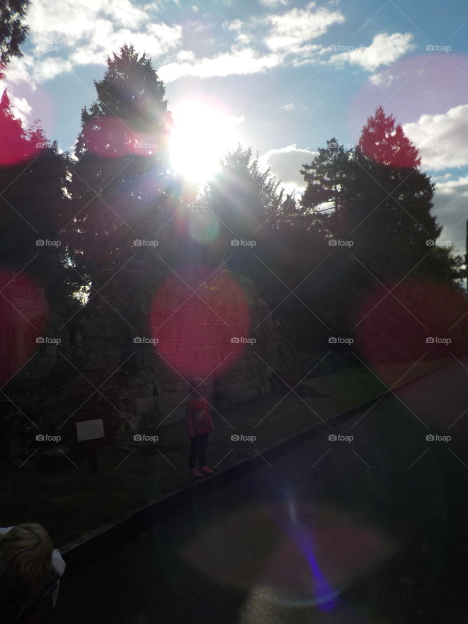 My kids called it Halloween hotel 🕸