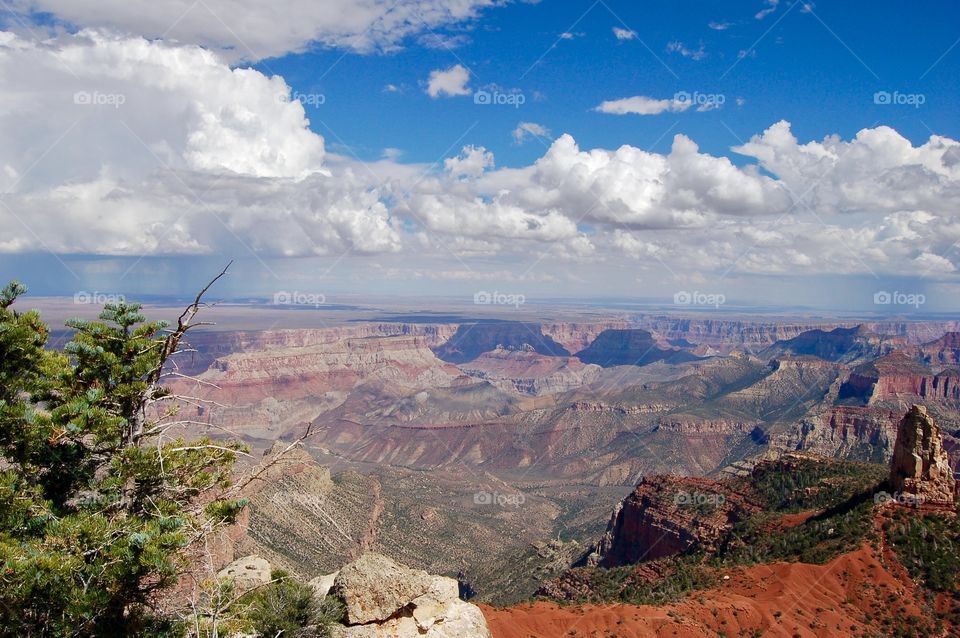 Grand Canyon Vista
