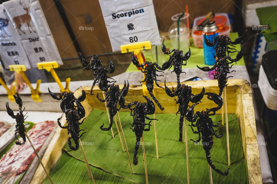 Skewered scorpion snacks at a night market in Chiang Mai, Thailand 