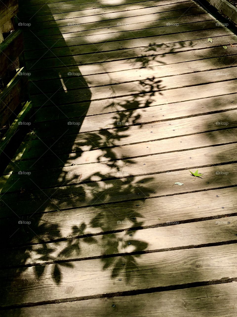 Shadows on the wood walk