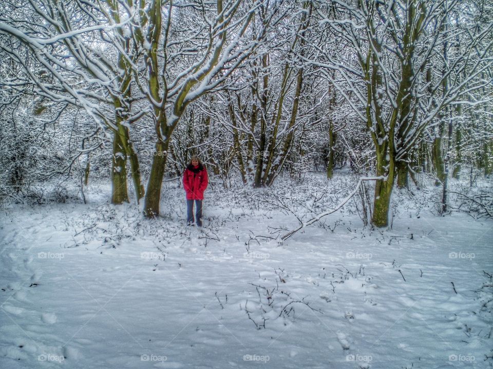 Walking in a Winter Wonderland