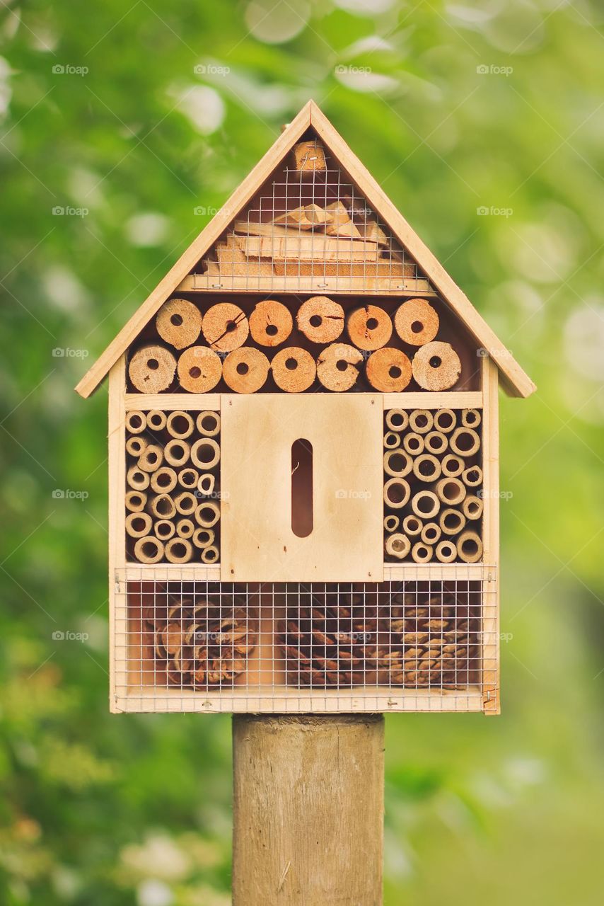 Wooden shelter for tinny wildlife and animals