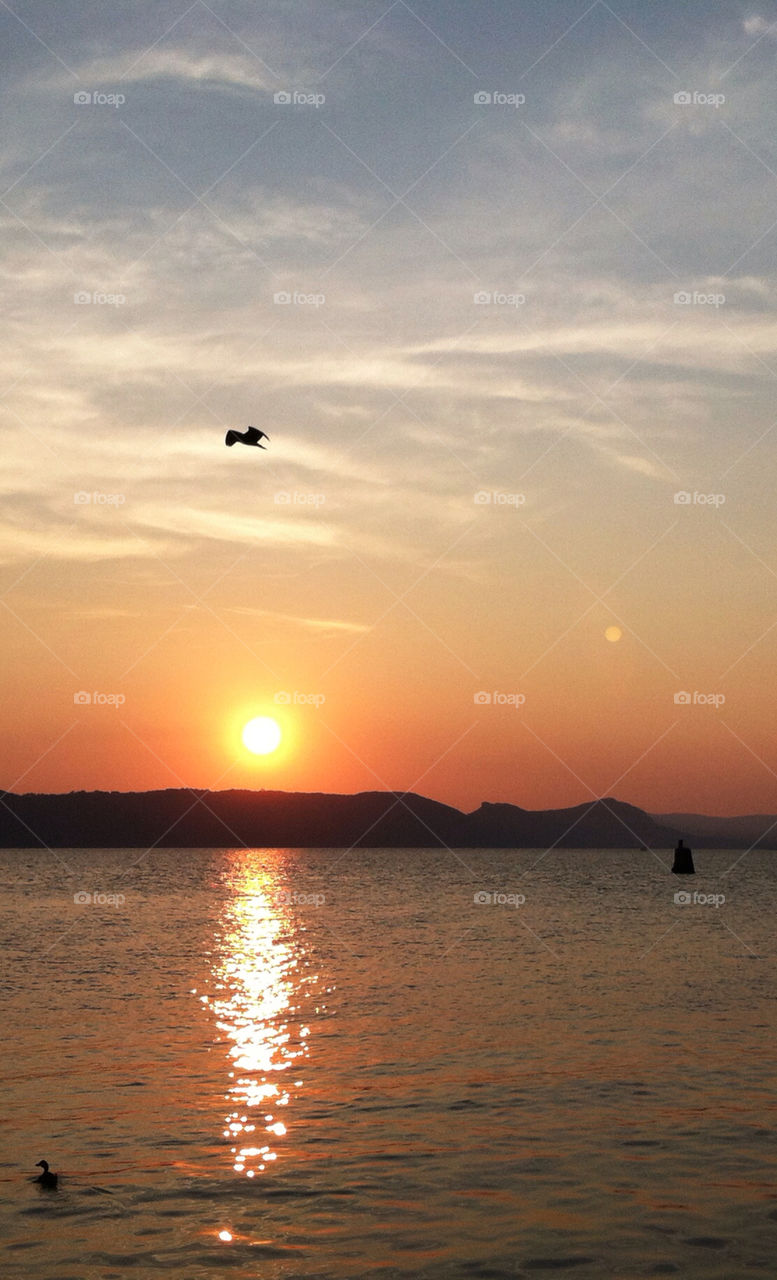 sunset river bird duck by delvec