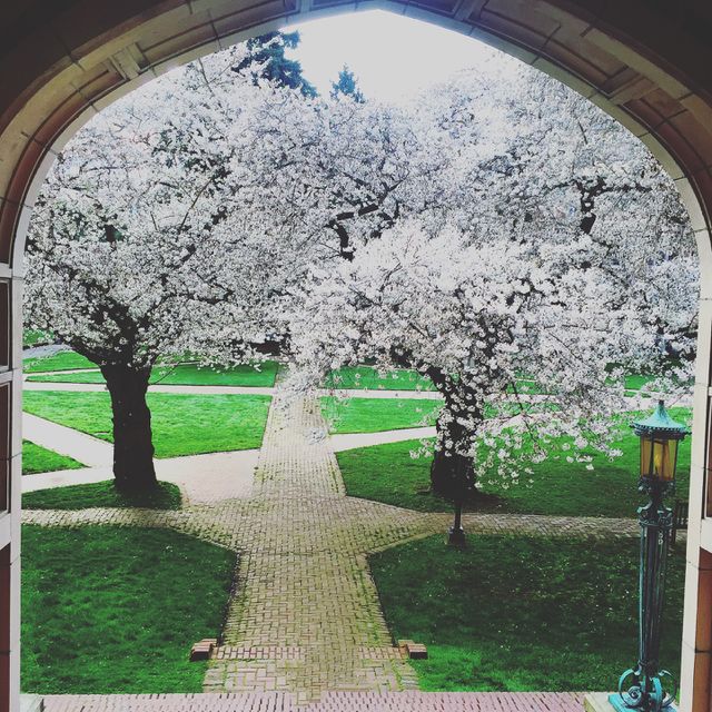 Spring