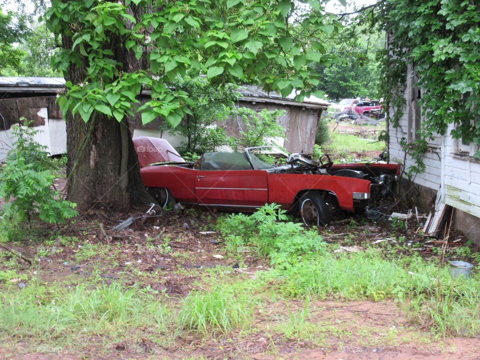 Red Car