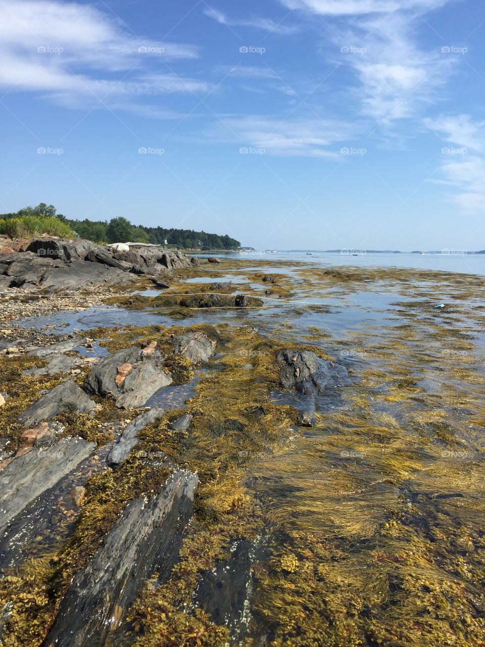 Awesome Beaches and Cliffs 