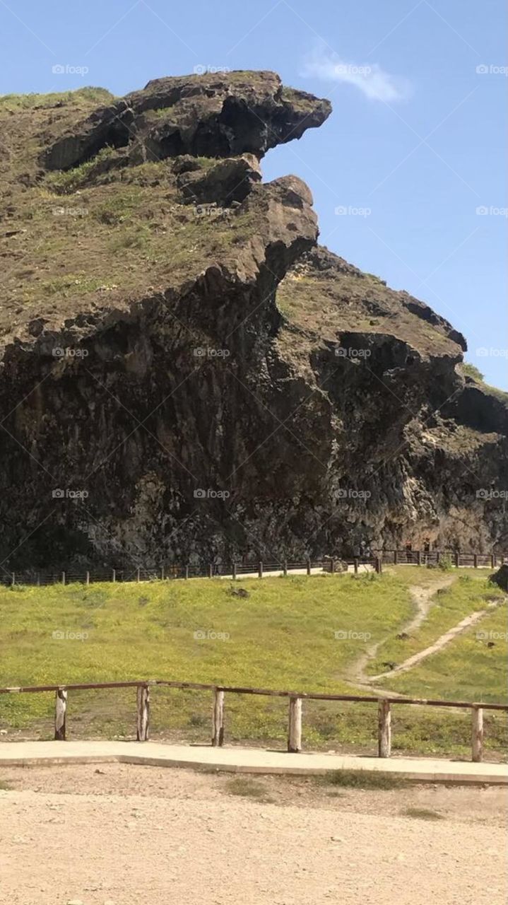 The beauty and tranquility of nature