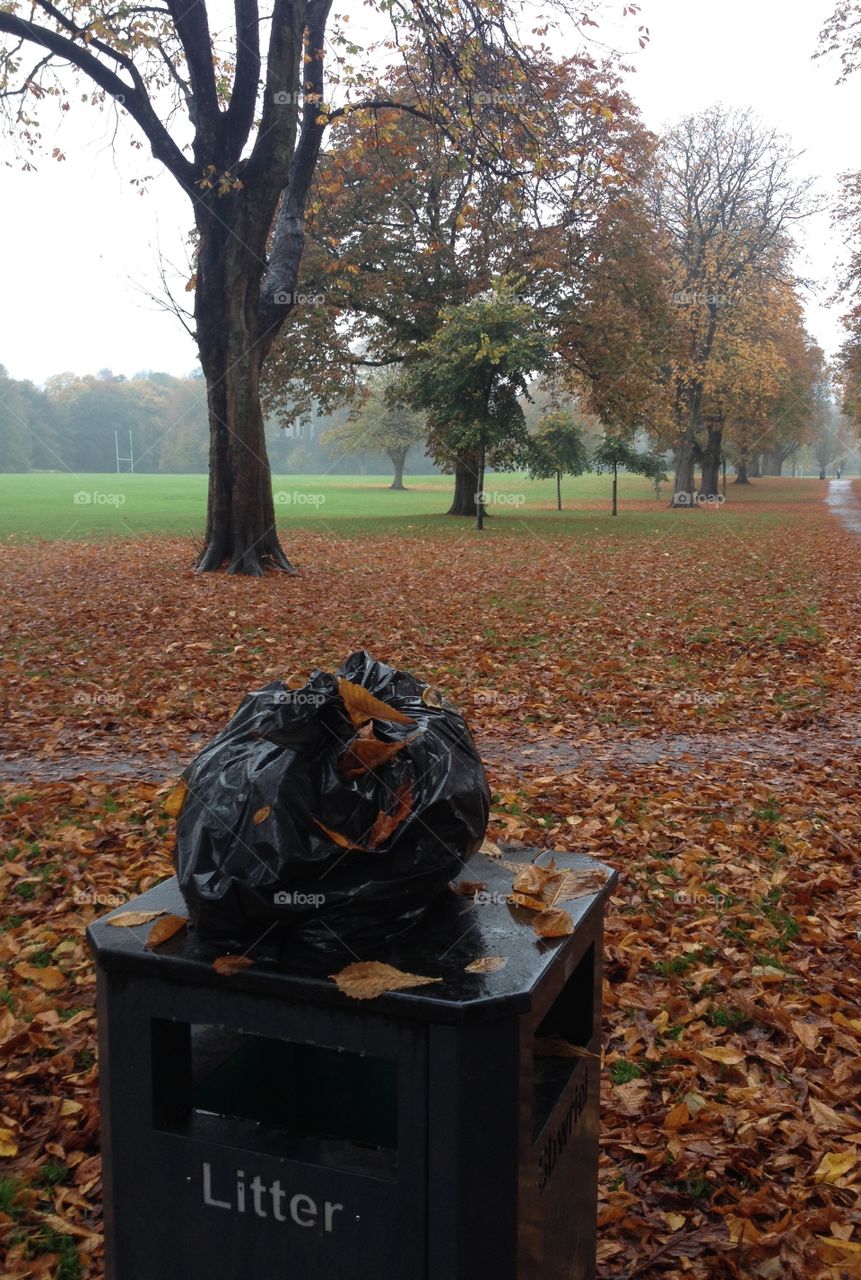 bin in the park. bin bag on a litter bin in the park on a rainy autumn day