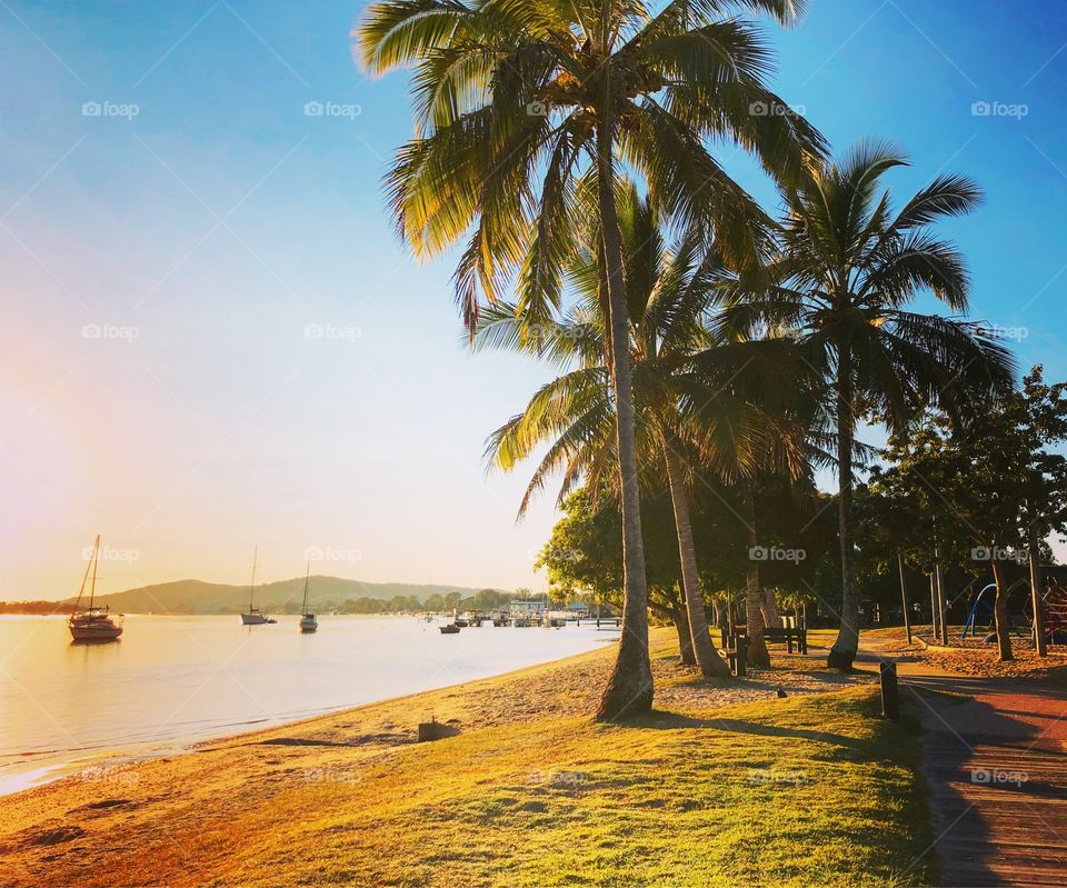 Tropical paradise beach picnic palm trees