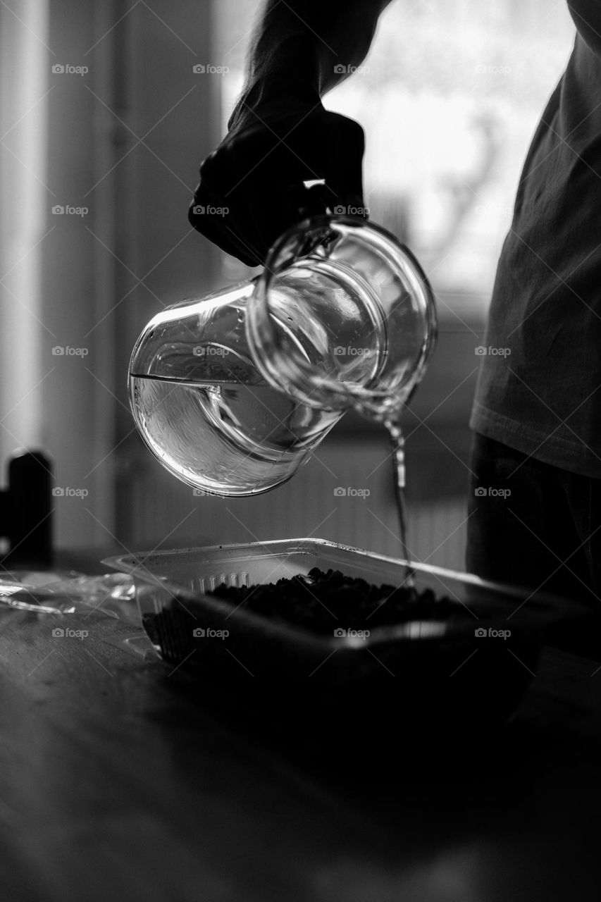 One young Caucasian unrecognizable man waters microgreens from a glass jug while standing at the table in the kitchen during the day, close-up side view