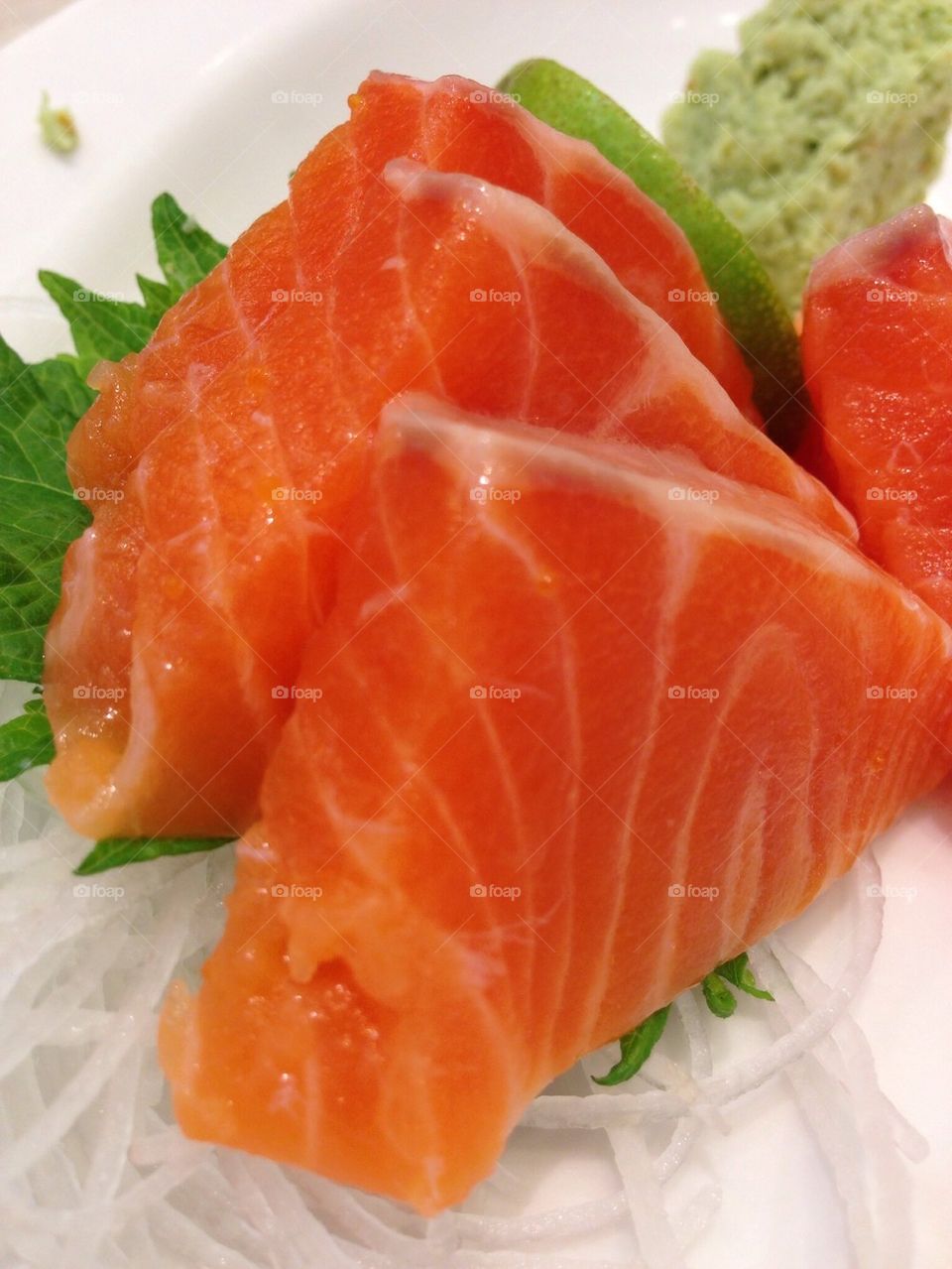 Salmon Japanese food
