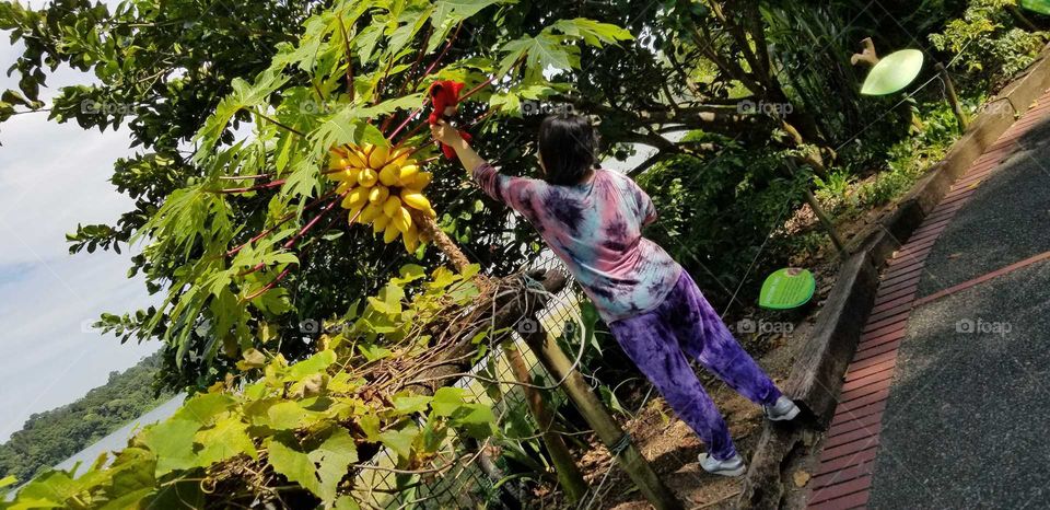 My mom and planting farm in Singapore Zoo