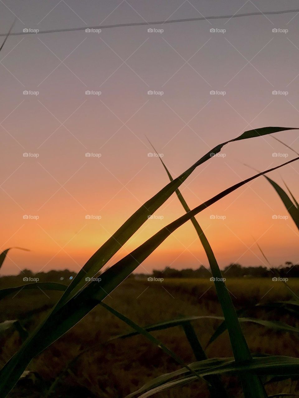 Beautiful sunset view