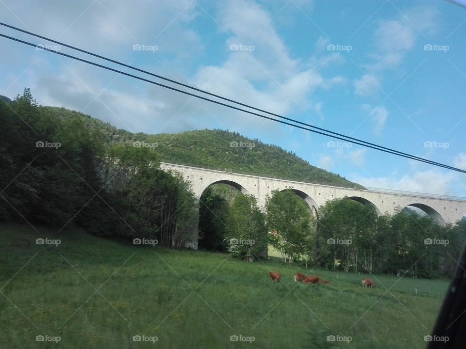 Thé gorges du Verdon , Ardèche , France