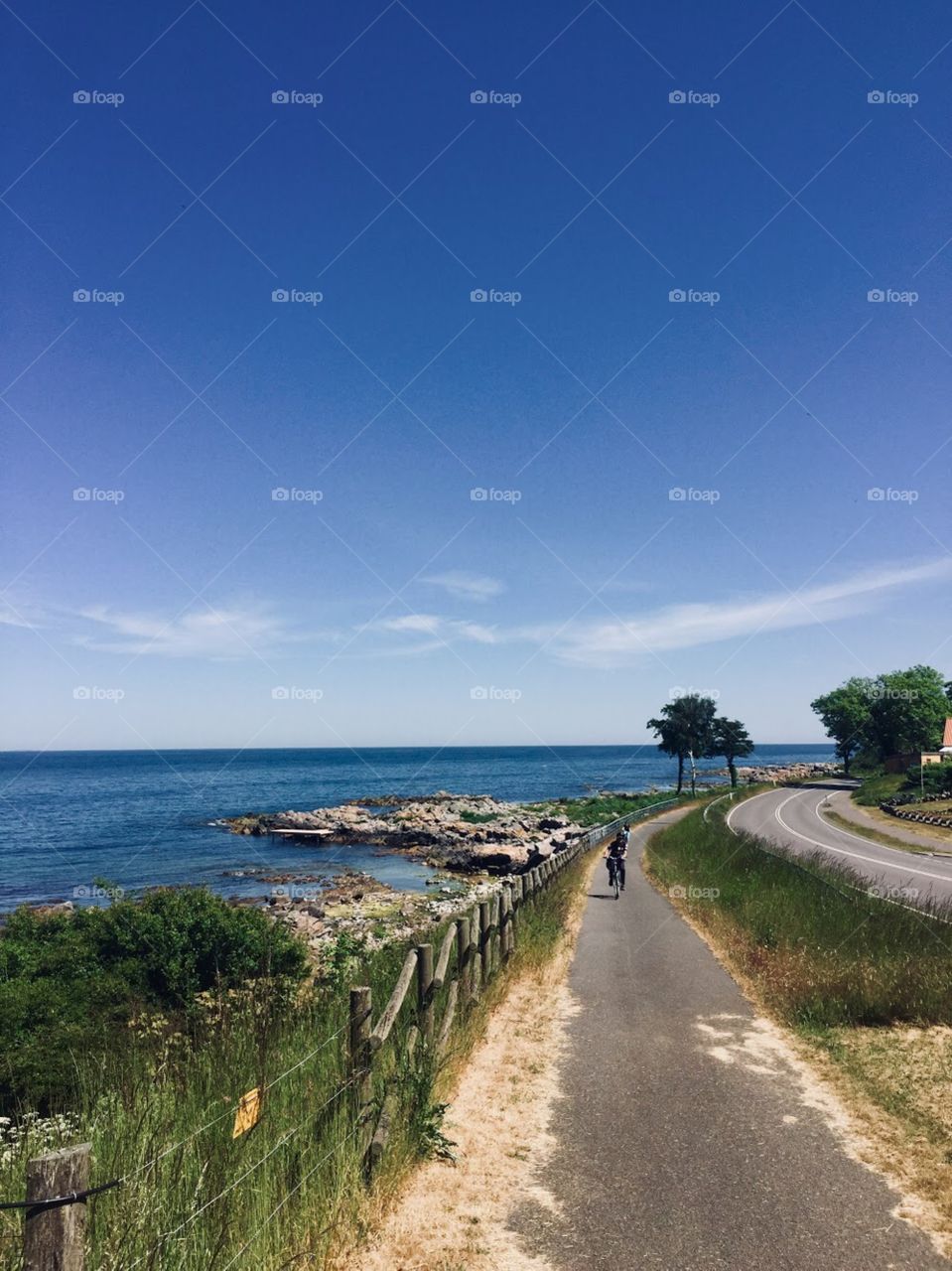 A beachside bike trail with green grass, blue water, and clear skies. Green trees with a biker in the distance. 