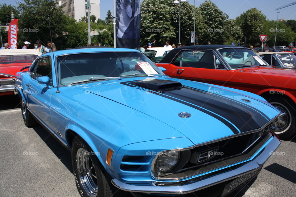 Classic muscle cars exhibition