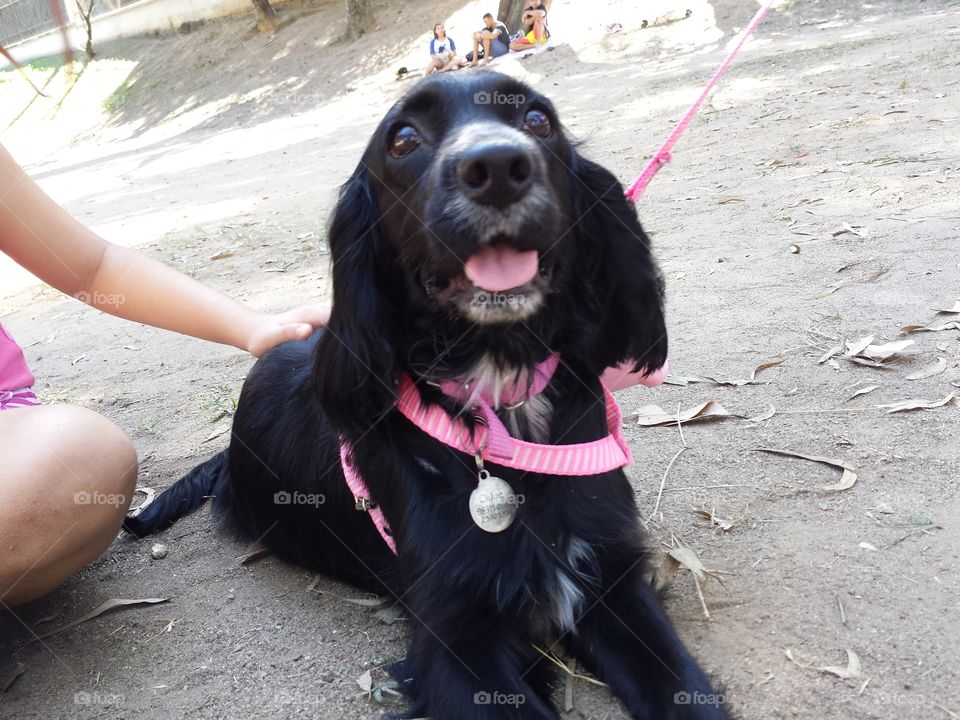 Happiness. my baby dog smiling