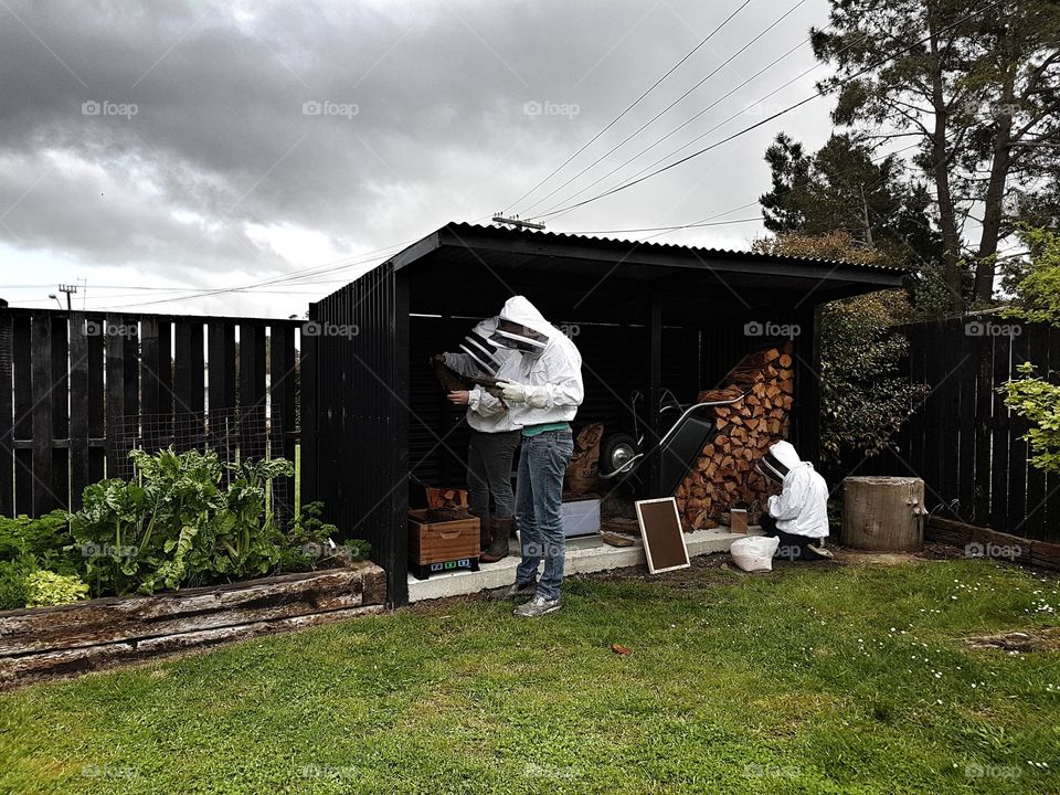 Backyard Beekeeping