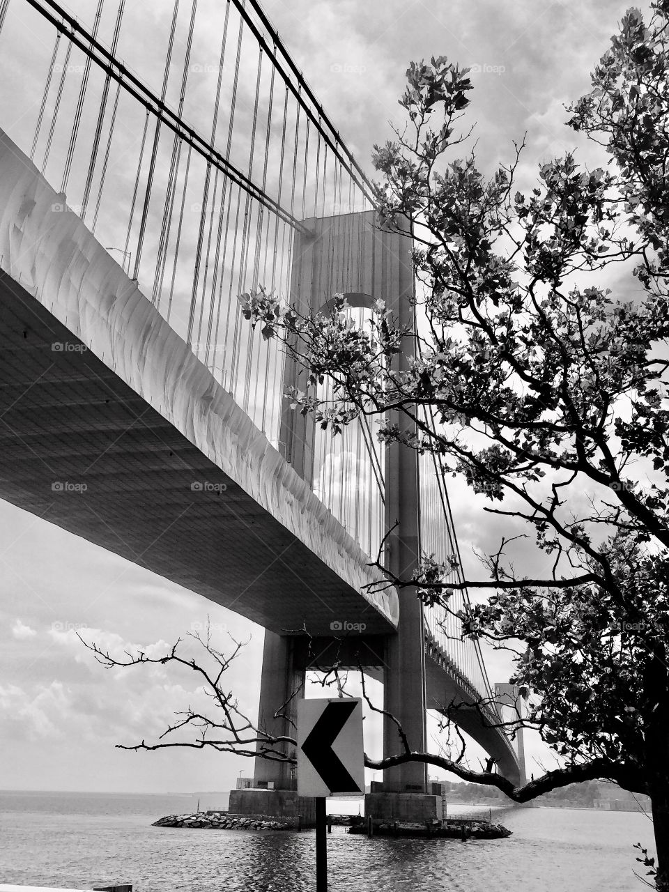 Verrazano Bridge in black and white